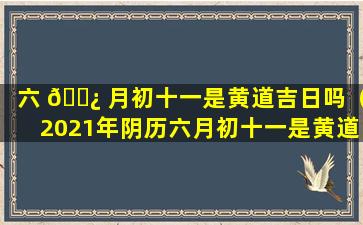 六 🌿 月初十一是黄道吉日吗（2021年阴历六月初十一是黄道吉日吗 🐞 ）